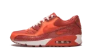 Air Max 90 QK "STEVE NASH"