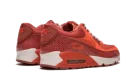 Air Max 90 QK "STEVE NASH"