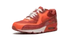 Air Max 90 QK "STEVE NASH"