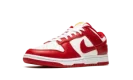 Dunk Low Retro "USC"