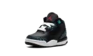 Air Jordan 3 TD "Moto"