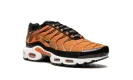 Air Max Plus