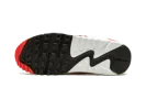 AIR MAX 90 SE WMNS "Animal"