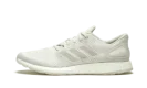 PureBOOST DPR