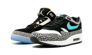 Air Jordan X Max Pack "Atmos Safari / Elephant Pack"