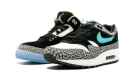Air Jordan X Max Pack "Atmos Safari / Elephant Pack"
