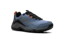 Terrex Eastrail Gore-tex "Blue"