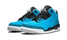 Air Jordan 3 Retro "Powder Blue" 136064 406