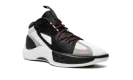 Air Jordan Zoom Separate