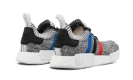 NMD_R1 PK "Tri-Color"
