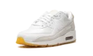 Air Max 90 "Frank Rudy"