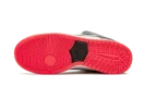 SB Dunk Low "Infrared"