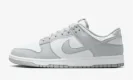 Dunk Low "Light Smoke Grey"