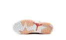 Jordan 6 Retro Low PS DV3528 102