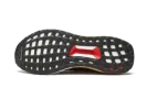 UltraBoost DNA "Tokyo"