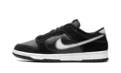 Dunk Low Retro Nas "Airbrush"