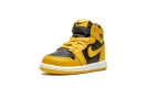 Air Jordan 1 Retro High OG TD "Pollen"