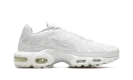 AIR MAX PLUS WMNS "Pure Platinum"