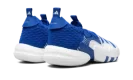 Trae Young 2.0 "Royal Blue"