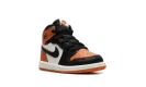 Air Jordan 1 Retro High OG TD "Shattered Backboard"