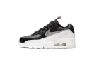 Air Max 90 Leather SE PS "Off Noir Metallic Pewter"