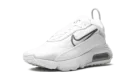 AIR MAX 2090 MNS WMNS "White / Black"