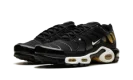 Air Max Plus "Black University Gold White"