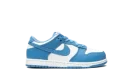Dunk Low PS "UNC"