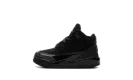 Air Jordan 3 TD "Black Cat"