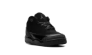 Air Jordan 3 TD "Black Cat"