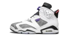 Air Jordan Retro 6 "Flint Grey"