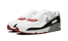 Air Max 90 "Photon Dust / Varsity Red"