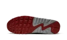 Air Max 90 "Photon Dust / Varsity Red"