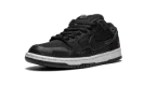 SB Dunk Low "Wasted Youth"