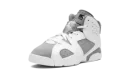 Air Jordan 6 PS "Cool Grey"