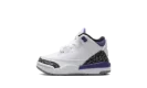 Air Jordan 3 Retro TD "Dark Iris"
