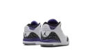 Air Jordan 3 Retro TD "Dark Iris"