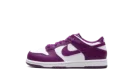 Dunk Low PS "Viotech White"