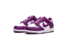 Dunk Low PS "Viotech White"