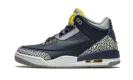 Air Jordan 3 Retro PE "Michigan"