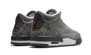 Air Jordan 3 Retro GS "Cool Grey" 398614 012