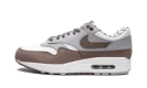 Air Max 1 "Shima Shima"