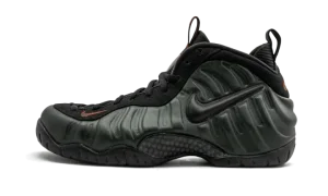 Air Foamposite Pro "Sequoia"