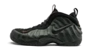 Air Foamposite Pro "Sequoia"