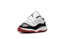 Air Jordan 11 Retro Low TD "Concord Bred"