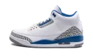 Air Jordan 3 Retro "Wizards"