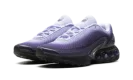 Air Max Dn WMNS "Dark Raisin Dusty Amethyst Black Amethyst Tint"