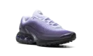 Air Max Dn WMNS "Dark Raisin Dusty Amethyst Black Amethyst Tint"