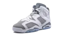 Air Jordan 6 GS "Cool Grey"