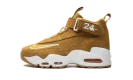 Air Griffey Max 1 GS "Wheat"